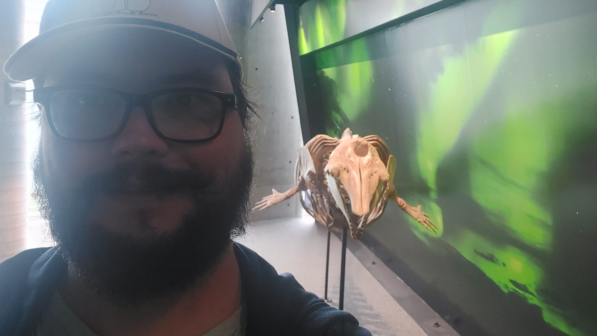 A man with a ball cap and bushy facial hair is standing in front of a beluga whale skeleton, which appears to be his size, but is larger in reality